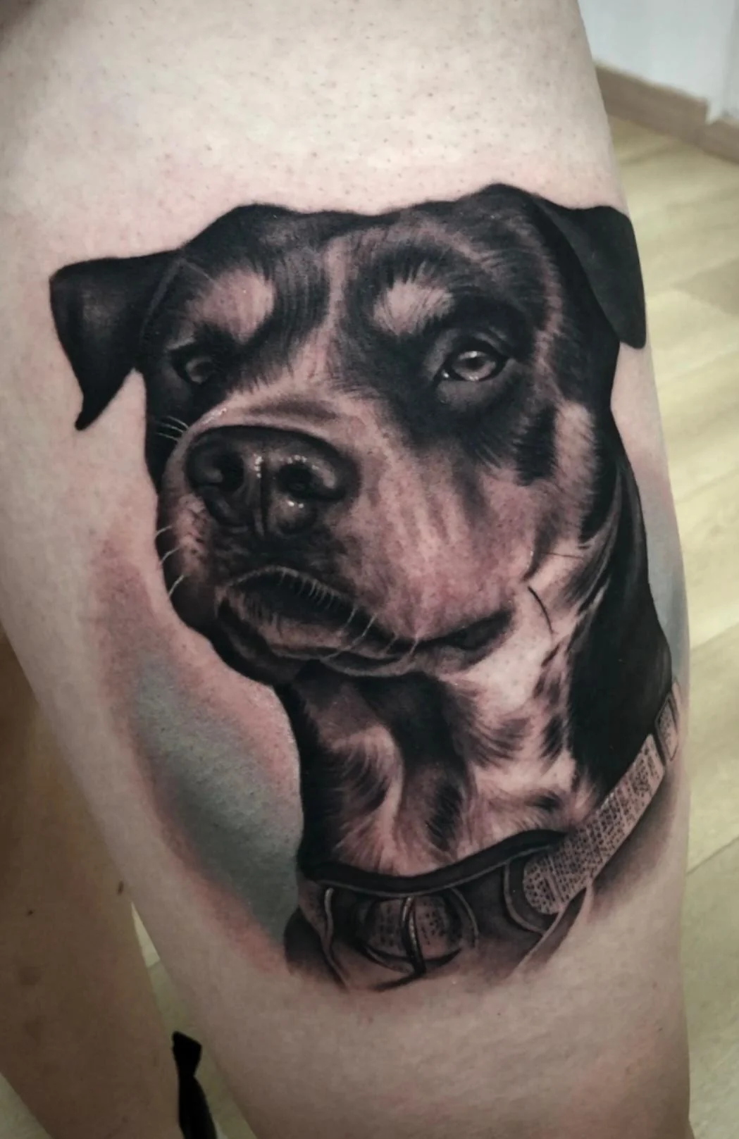 Retrato animal, Pieza conmemorativa